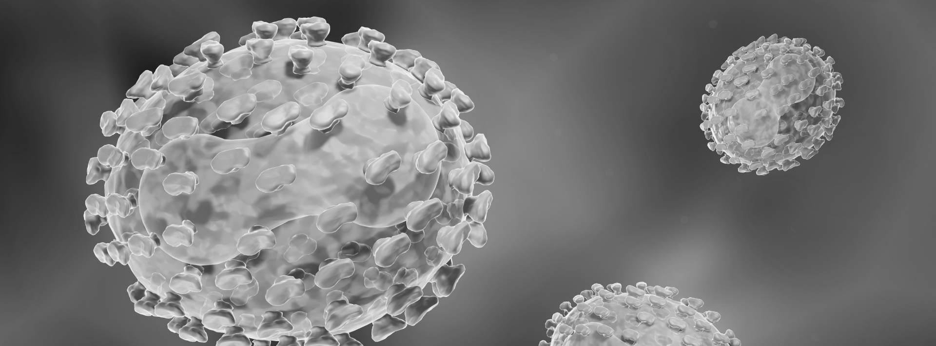Banner _0.png
