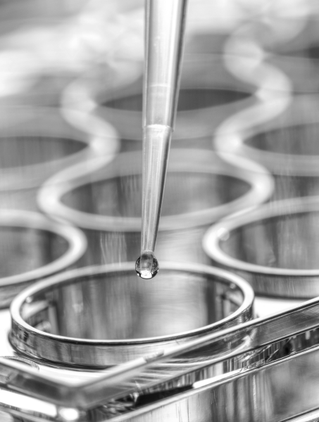une goutte tombe de la pipette dans le tube